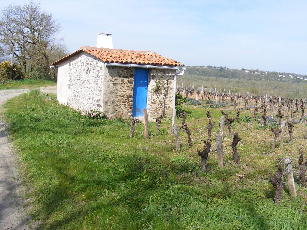 Chambres D'Hotes Vignes Et Loire Drain Δωμάτιο φωτογραφία