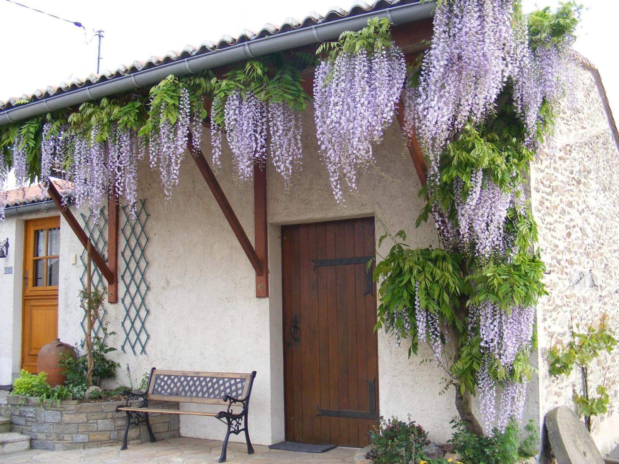 Chambres D'Hotes Vignes Et Loire Drain Εξωτερικό φωτογραφία