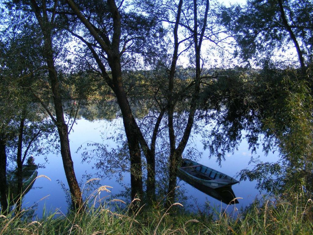 Chambres D'Hotes Vignes Et Loire Drain Εξωτερικό φωτογραφία